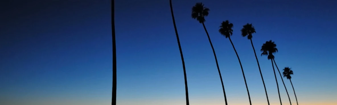 Top Things to Do in Santa Rosa, California for First-Time Visitors