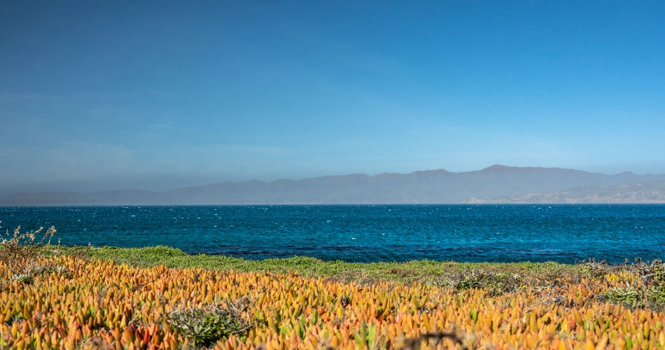Top Things to Do in Santa Rosa, California for First-Time Visitors