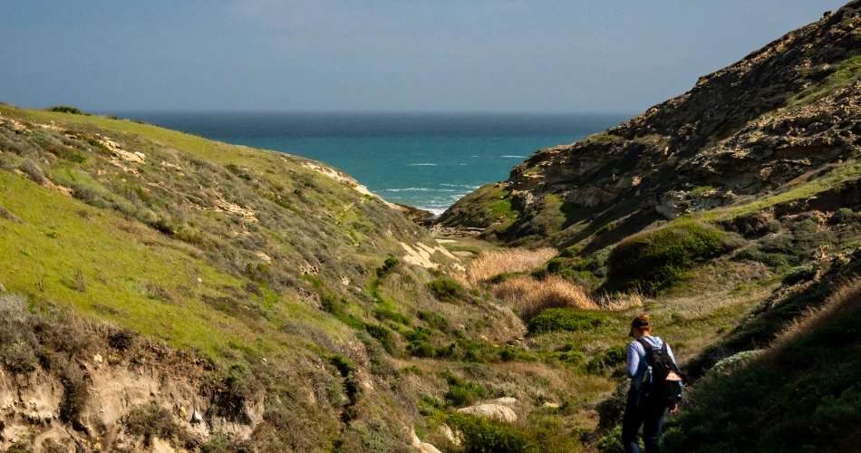 Best Outdoor Activities in Santa Rosa, CA: Parks, Trails & Scenic Views