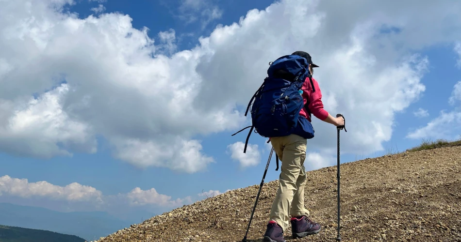 Best Outdoor Activities in Santa Rosa, CA: Parks, Trails & Scenic Views